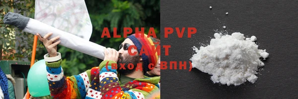 стафф Бородино