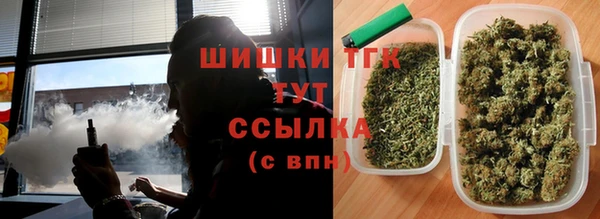 стафф Бородино